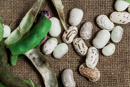 Pods and seeds of beans of different colors lie on burlap. View from above