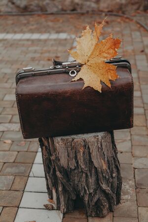 Autumn in vintage style. An antique leather bag stands on a stump in the yard. On top is a large...