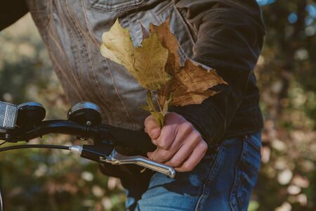 Male hand with a bouquet of yellow maple leaves holds the handlebar of a modern bicycle
の写真素材