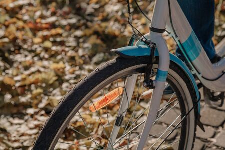 Front wheel of a modern bicycle on an autumn alley. Beautiful fallen maple leaves lie on the ground