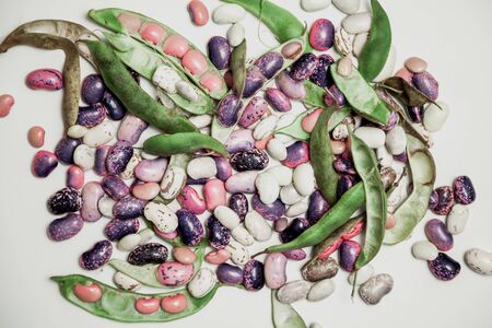 Pods and seeds of beans of different colors lie on a white background. Close-up