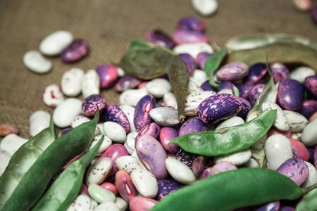 Pods and seeds of beans of different colors lie on burlap. View from aboveの写真素材