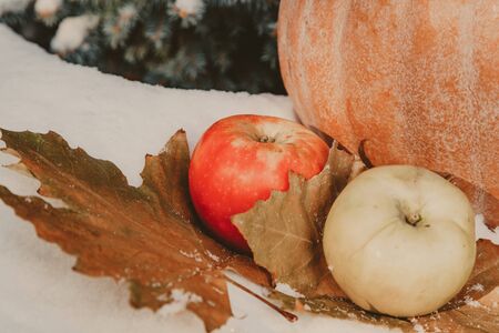 Green and red apple lie on top of maple leaves on white snow close-up. Orange pumpkin in the back
の写真素材