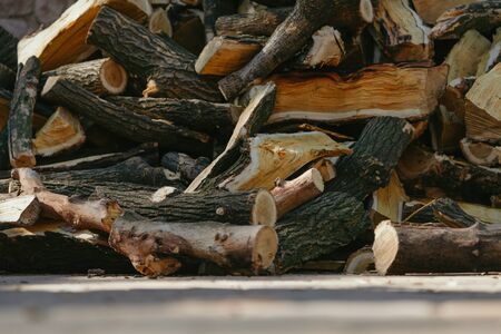 pile of wood firewood mulberry chaotically dumped by a pyramid