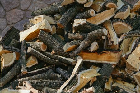 pile of wood firewood mulberry chaotically dumped by a pyramid