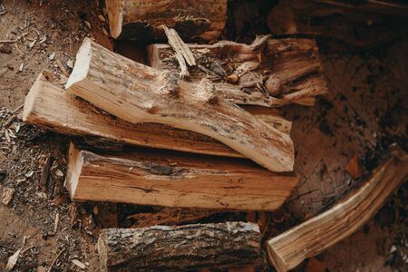 Dry logs of acacia tree lie in on the floor. Around lies the trash. View from aboveの写真素材