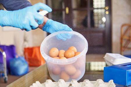 Prevention of infection. A hand in a blue rubber glove sprays an aerosol antiseptic on fresh chicken...
