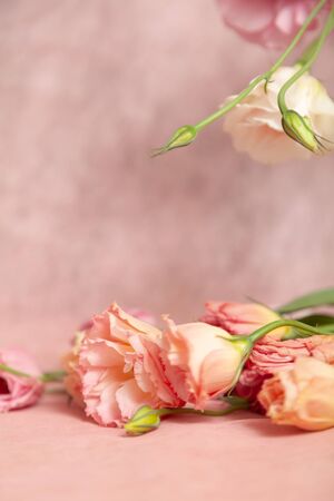 Vertical postcard invitation blank with place for text. Pink and cream eustoma flowers on a delicate...