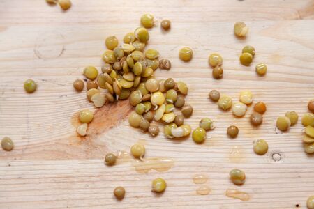 Sprouted seeds of food lentils lie evenly. View from above