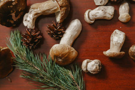 Forest still life. Porcini mushrooms of different sizes and pine branches lie on a brown table. View...