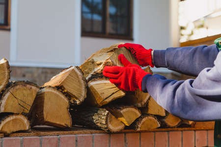 Hands in red work gloves are laying a log of mulberry tree with a yellow core and white stripes in rows. In the background is a houseの写真素材