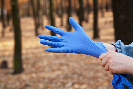 Prevention of infection. A man puts on blue rubber latex disposable gloves in the autumn forest close-up.の写真素材