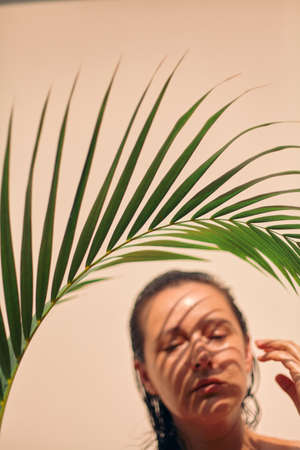 green branch of the Hovea palm is beautifully curved against a light background. Beneath her is the blurry face of a pretty girlの写真素材