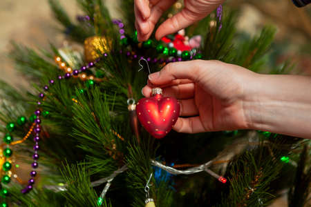 We decorate the Christmas tree. A hand hangs an original toy in the form of a red heart on a green branch of a Christmas treeの写真素材