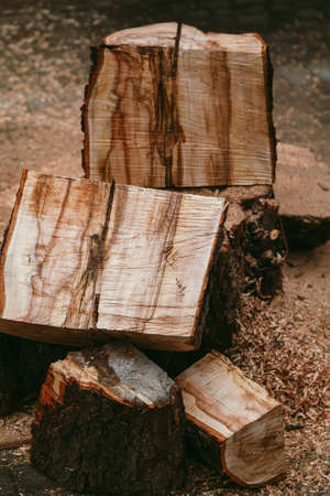 two halves of the sawn tree stump lie surrounded by a heap of sawdustの写真素材
