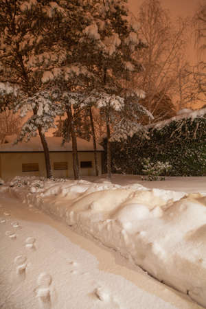 Quiet winter evening. There is white snow in the yard. Human footprints are visible on the snowy path. Tall pine trees grow in the backgroundの写真素材