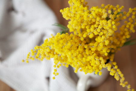 Spring in a cup. A branch of yellow mimosa stands in a white cup on wooden boards. Nearby lies a white clothの写真素材