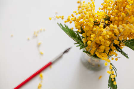 branch of yellow mimosa stands in a glass vase on a white background. Nearby lies a vintage ink penの写真素材