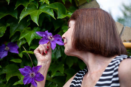 Cute elderly woman with short hair holds a growing flower of blue clematis in her hand and sniffs itの写真素材