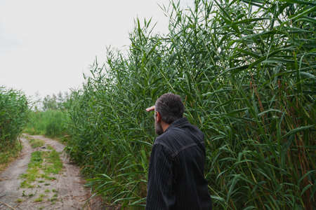 man stands with his back in front of tall green reeds. Before him is a dirt road