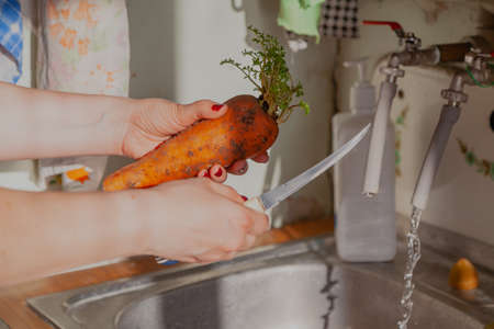 Sprouted carrot in female hands against the background of a kitchen sink and a tap with pouring water. Kitchen knife in hand to cut carrot sproutsの写真素材