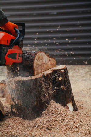 chainsaw is working. A man is sawing a piece of a tree trunk with a chainsaw. The piece stands on a large tree stump in the yardの写真素材