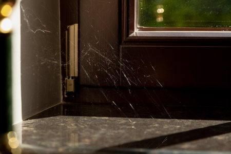 We haven wiped the dust for a long time. Silvery spider webs glow in the sun in the corner of a modern window and sillの写真素材