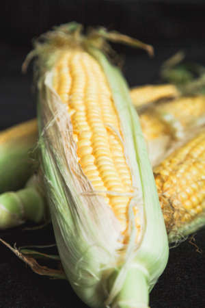 Appetizing cobs of ripe yellow corn with green leaves lie on a black background close-up