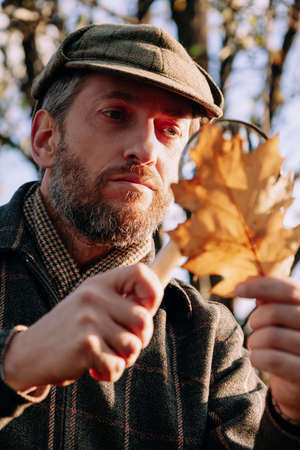 botanist with a beard examines a large yellow oak leaf through a large magnifying glass on a bone handleの写真素材