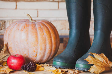 Autumn still life. A large orange pumpkin is on the shelf. Nearby is a beautiful red apple, pine cones. Right rubber bootsの写真素材