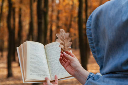 Book, oak leaf and hood. A woman in a denim hood holds an open book in front of her in the autumn forest. In his right hand he holds a dry oak leafの写真素材