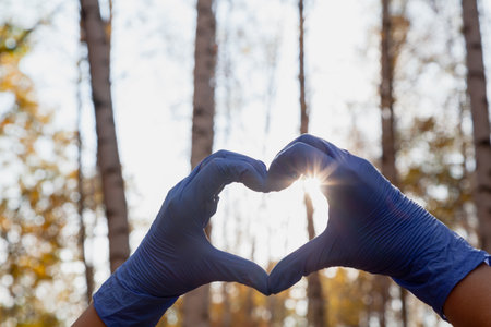Heart formed from fingers in blue latex disposable gloves close-up. Valentine day symbol. Defocused tree trunks in the backgroundの写真素材