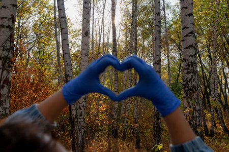 Heart formed from fingers in blue latex disposable gloves close-up. Valentine day symbol. Defocused tree trunks in the backgroundの写真素材