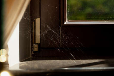 silvery spider web glows in the sun in the corner of a modern window and sill. In the left corner there is a light curtainの写真素材