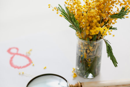 bouquet of yellow mimosa stands in a glass vase on a white background. Number 8 written next to it and a round magnifying glassの写真素材