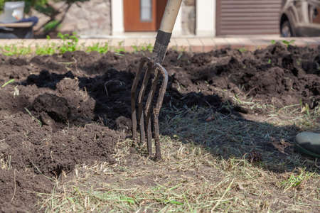 garden inventory. Special iron pitchfork with wooden handle stick out in the ground close-upの写真素材