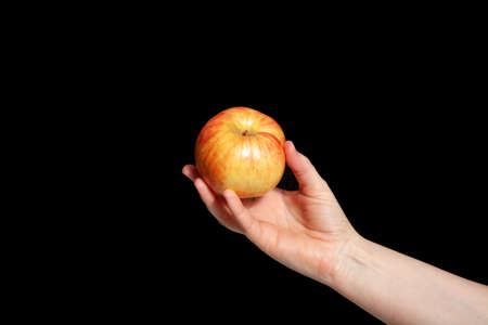 Graceful female hand holds a ripe apple on a black backgroundの写真素材
