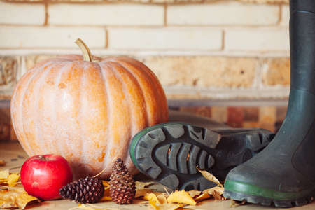 autumn still life. A large orange pumpkin is on the shelf. Nearby is a beautiful red apple, pine cones. Right rubber bootsの写真素材
