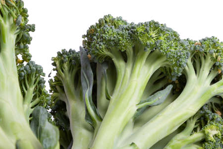 Two heads of green broccoli with dense clusters of small buds lie on a white background. close-up. Looks like fallen treesの写真素材