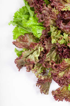 Beautifully laid out bunch of lettuce leaves on white backgroundの写真素材