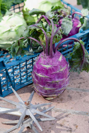 A purple head of kohlrabi cabbage with tops stands on brickwork. Behind the plastic box with vegetables. Nearby lies a star hand cultivatorの写真素材