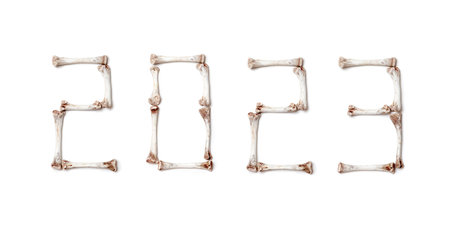 2023 year number is made up of digits with a unique design from mouth-watering chicken bones on a white backgroundの写真素材