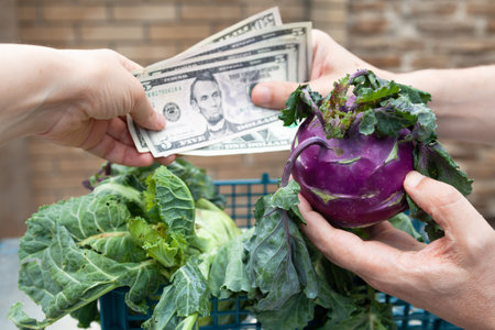 The customer is holding a purple kohlrabi cabbage in his hand. The right hand passes dollar bills to the sellerの写真素材