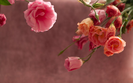 Horizontal postcard invitation blank with place for text. Pink and cream eustoma flowers on fade pink backgroundの写真素材