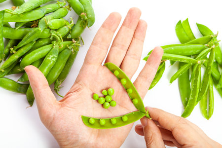 On the left hand are several green peas. The right hand holds an open pea pod. Near empty and full pods of peasの写真素材