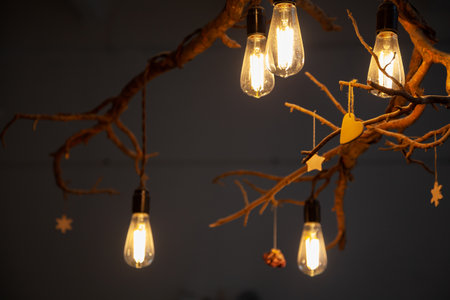 Five original ice lamps gently illuminate the darkness. Horizontalaspect ratio tree branch is used as a designer chandelier. Near by hang a heart and a starの写真素材