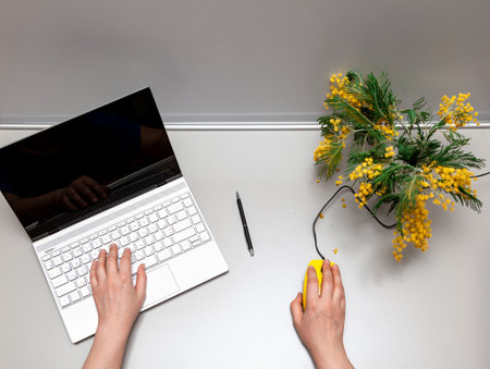 Female left hand on a laptop keyboard. Right hand on a yellow computer mouse. On the table is a bouquet of yellow mimosa. View from aboveの写真素材