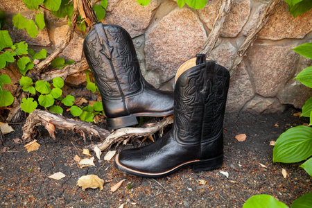 right black cowboy men leather boot stands on the ground. The left one stands on a branch of decorative grapes. stone fence in the backgroundの写真素材