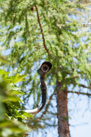 Video surveillance camera is mounted on a metal stand. In the background is a green larch tree. Large leaves green of plants grow nearby. bottom viewの写真素材