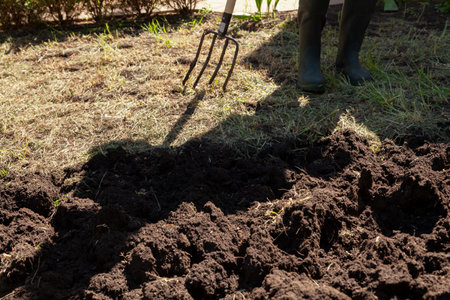 Worker in rubber boots digs the ground with a special pitchfork on a sunny dayの写真素材